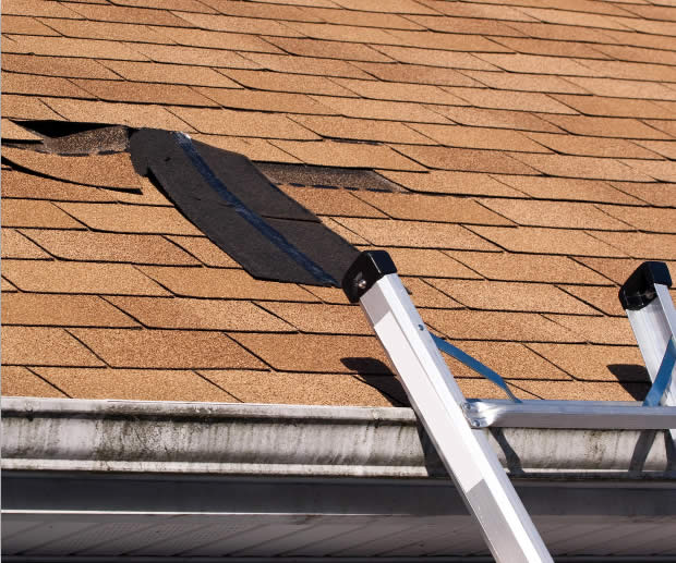 Shingle roof in need of repair